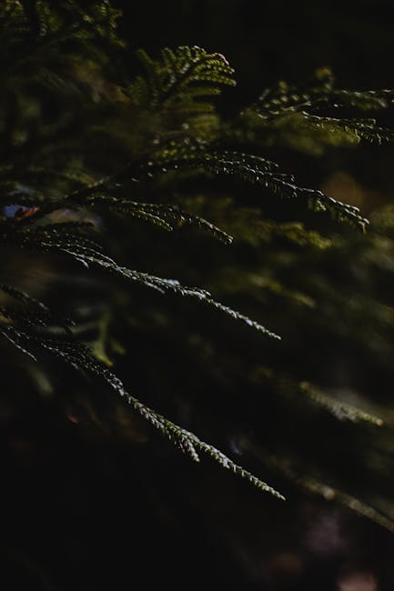 見知らぬ人に話しやすい理由